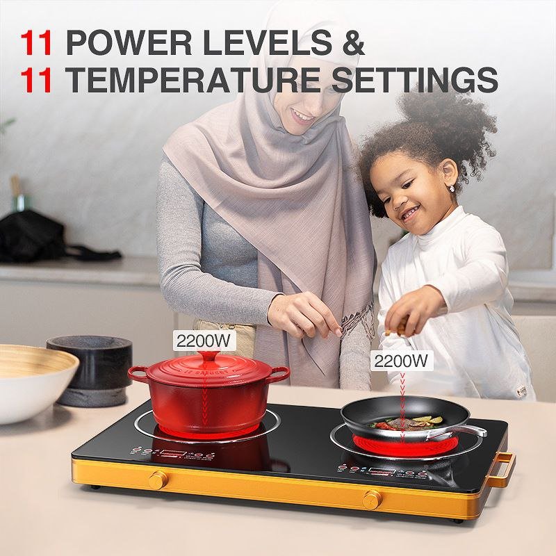 2 Burner Infrared Cooker