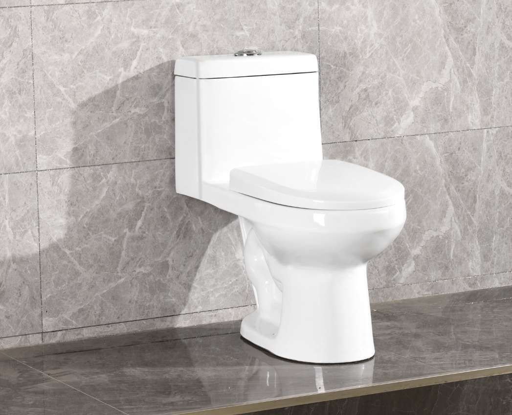 Ceramic WC Gravity Sanitary Ware Washdown Two Piece Toilet bowl for bathroom