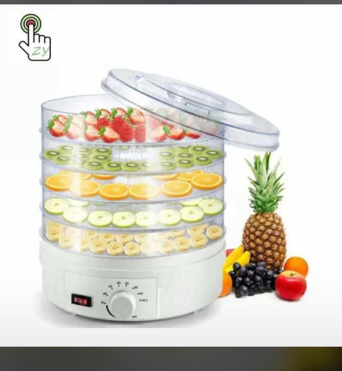 Adjustable Temperature Fruit Vegetable Meat Air Dryer