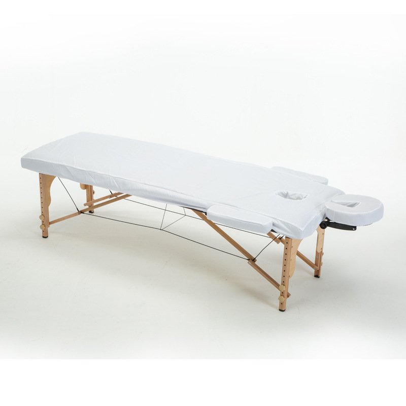 Acupuncture Beauty Home Massage Bed
